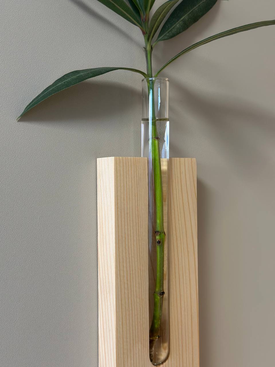 Decorative Wall Vase | No On