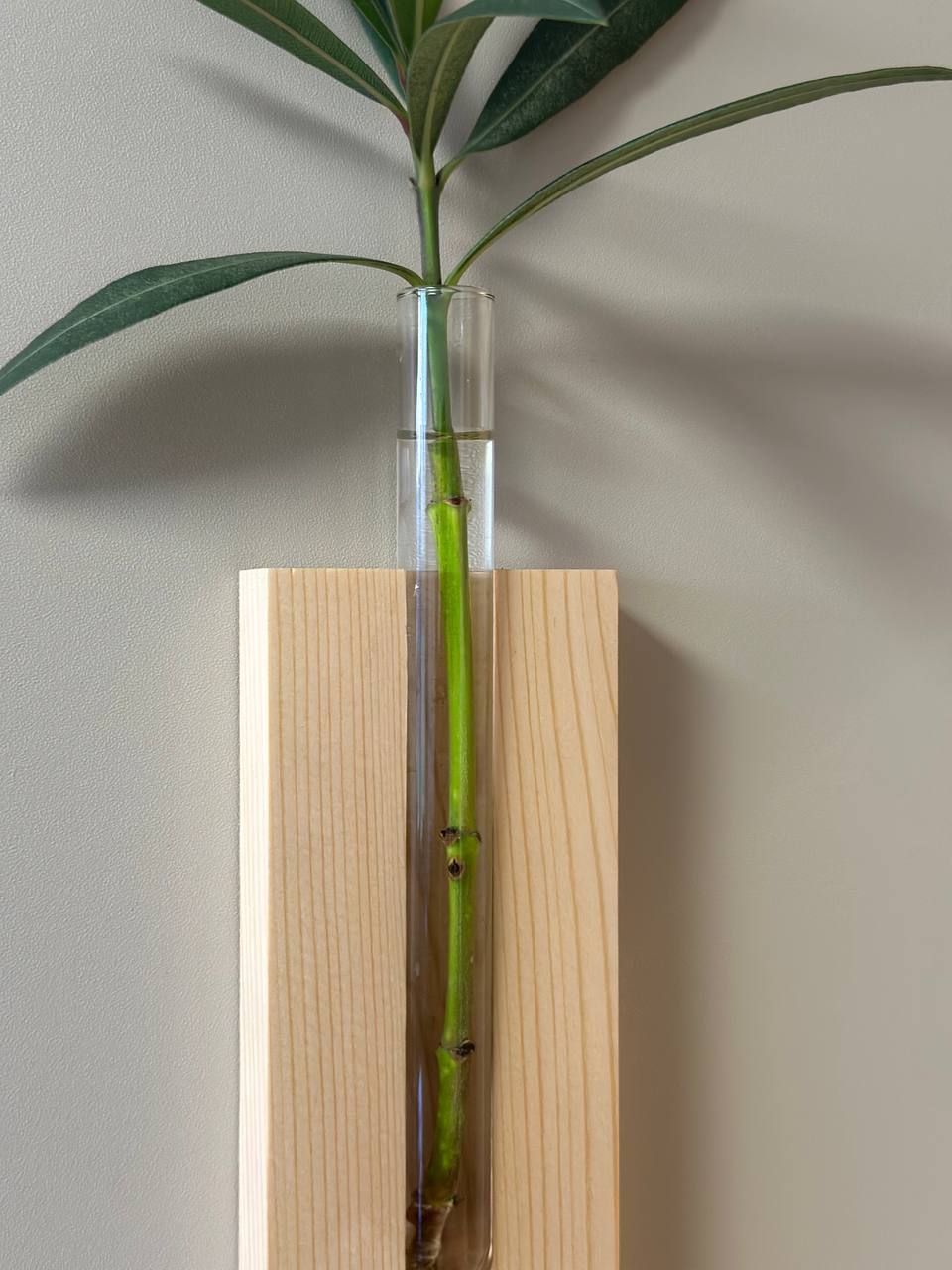 Decorative Wall Vase | No On